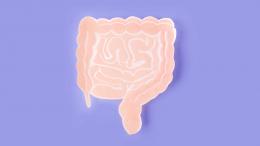 Открыта неизвестная ранее роль «кишечного мозга»