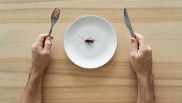 Космическое меню хотят разнообразить насекомыми