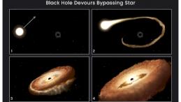  1. Обычная звезда проходит вблизи сверхмассивной черной дыры в центре галактики. 2. Внешние газы звезды втягиваются в гравитационное поле черной дыры. 3. Звезда разрывается на части. 4. Звездные остатки образуют кольцо в форме пончика вокруг черной дыры 