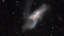 NGC 520 — одна из самых больших и ярких галактик в "Атласе галактик Сиены"