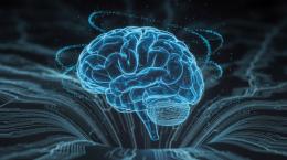 Когнитивные искажения, которые ИИ порождает у людей, измерили в процентах