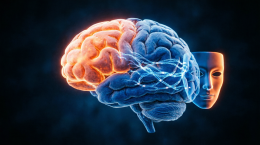 Лицемерие оказалось связано с работой конкретной области мозга