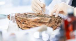 Планета Земля