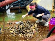 Александра Володько - Шведский стол