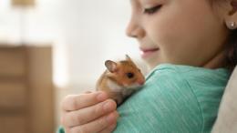 ребенок, хомяк, домашнее животное