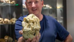 Самый полный скелет австралопитека