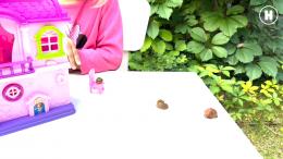 Тайная жизнь слизней