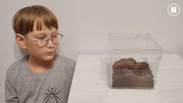 Паучьи загадки