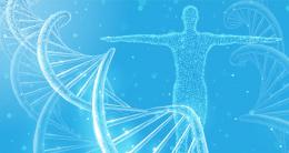 Вклад генов в долголетие оказался куда выше, чем считалось