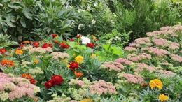 Спят ли растения или при чём тут ногти Насти