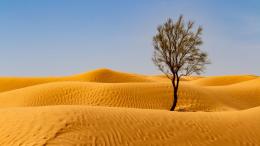 Пустыня Сахара