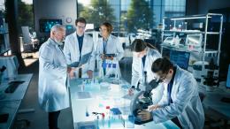 Стволовые клетки