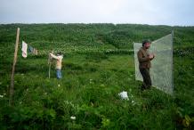 Ксюша Михайлова - Наука и быт