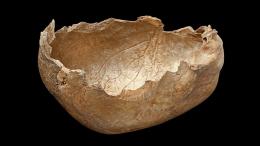 Человеческому черепу из пещеры Гофа намеренно придали вид чаши после удаления плоти