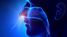 Создан искусственный нос для тех, кто остался без обоняния