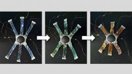 Робот-осьминог, способный менять цвет