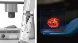 Ученые придумали устройство для равномерной печати живых тканей