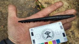 11 000-летнее орудие для ловли рыбы и древнее поселение нашли в озере Латвии