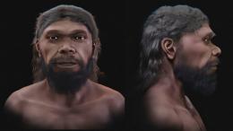 По найденным в Марокко окаменелостям воссоздано лицо древнейшего Homo sapiens