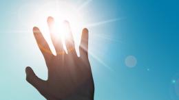 Польза дневного света для ума получила количественную оценку