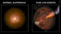 Сравнение обычной сверхновой со сверхновой типа «корова»