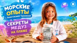 Секреты медуз Черного моря