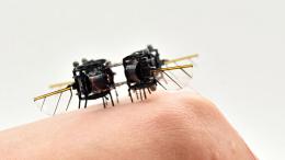 Робот-шмель с ИИ