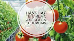 Наталия Шишкина - 