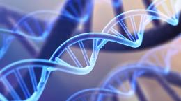 Создана перезаписываемая «флешка» на основе ДНК