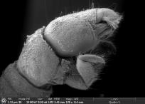 Илья Крупатин - "Извините, а можно спросить?"