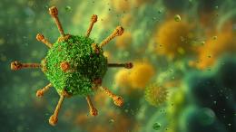 Самые опасные вирусы в мире: нипах и еще несколько