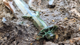 Археологи раскрыли тайну восьмигранного меча возрастом более 3000 лет