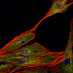 Элина Исхакова - Держи меня за руку