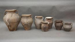 На кладбище бронзового века нашли следы древнего китайского красного рисового вина