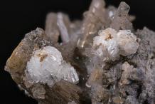 Мария Мильшина - Подлесноит