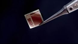 Микрочип, превращающий мозг в сверхскоростной интерфейс с компьютером