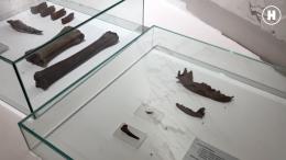 Самаровский след