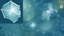 Челябинский метеорит, кристаллы