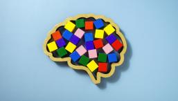 Исследование «мозга» ИИ показало, что память и рассуждения в нем разделены