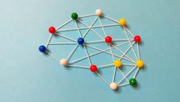 Эволюция интеллекта далась нам дорогой ценой, установило полногеномное исследование