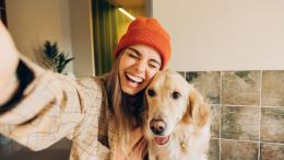 Золотистый ретривер