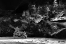 Михаил Ташланов - Сферический конь в вакууме