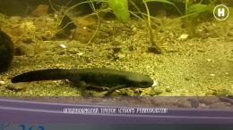 Создатели миров