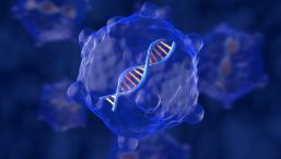 Генную терапию ВИЧ испытали на макаках