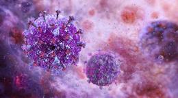 Раскрыт ключевой механизм подавления иммунитета при ВИЧ