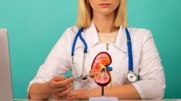 пересадка почек