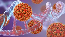 Впервые полный геном загрузили в квантовый компьютер