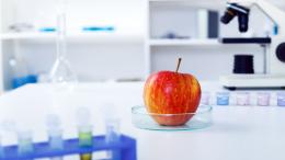 Яблоко — лекарство против рака