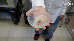 Удивительный Мир трехмерной биопечати