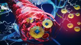 Биосовместимые нано имплантаты